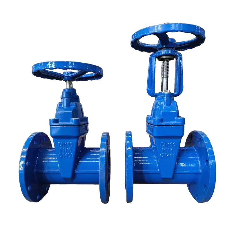 ประตูซีลที่นั่งแบบยืดหยุ่น