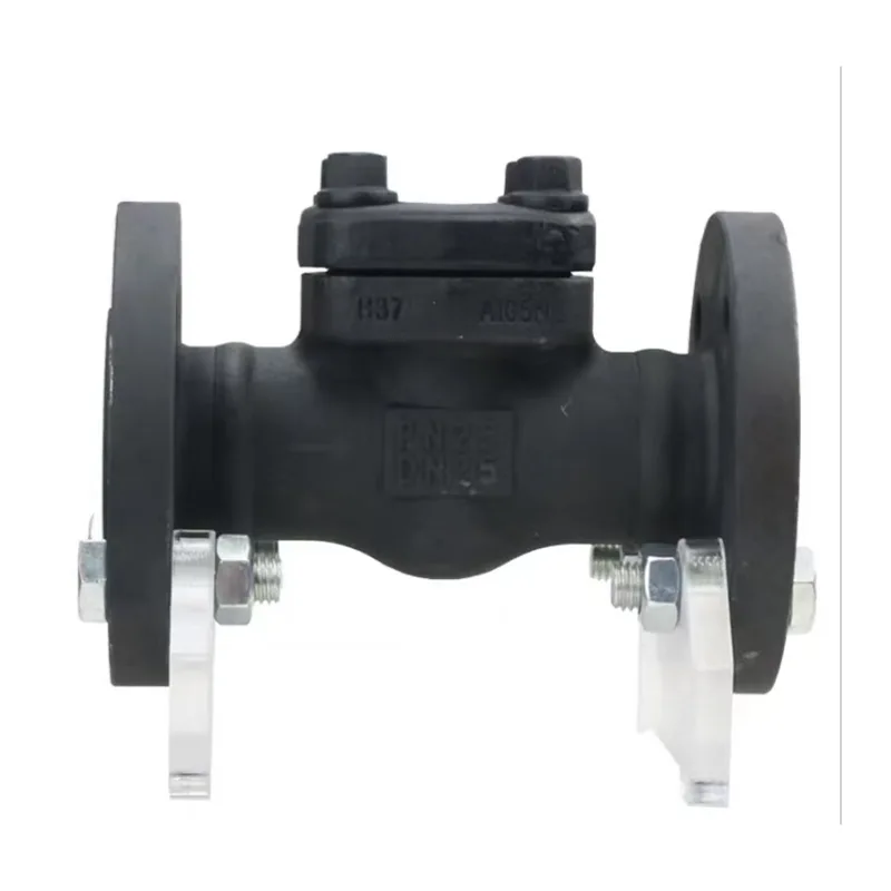 เช็ควาล์วเหล็กหลอม